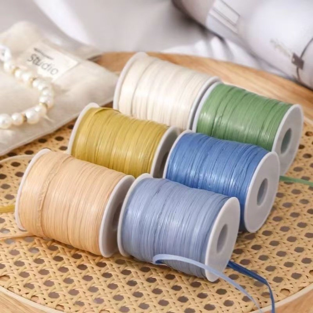 Premium-Qualität 120M pro Roll – Crochet Bag Raffia Bewertung und Preis